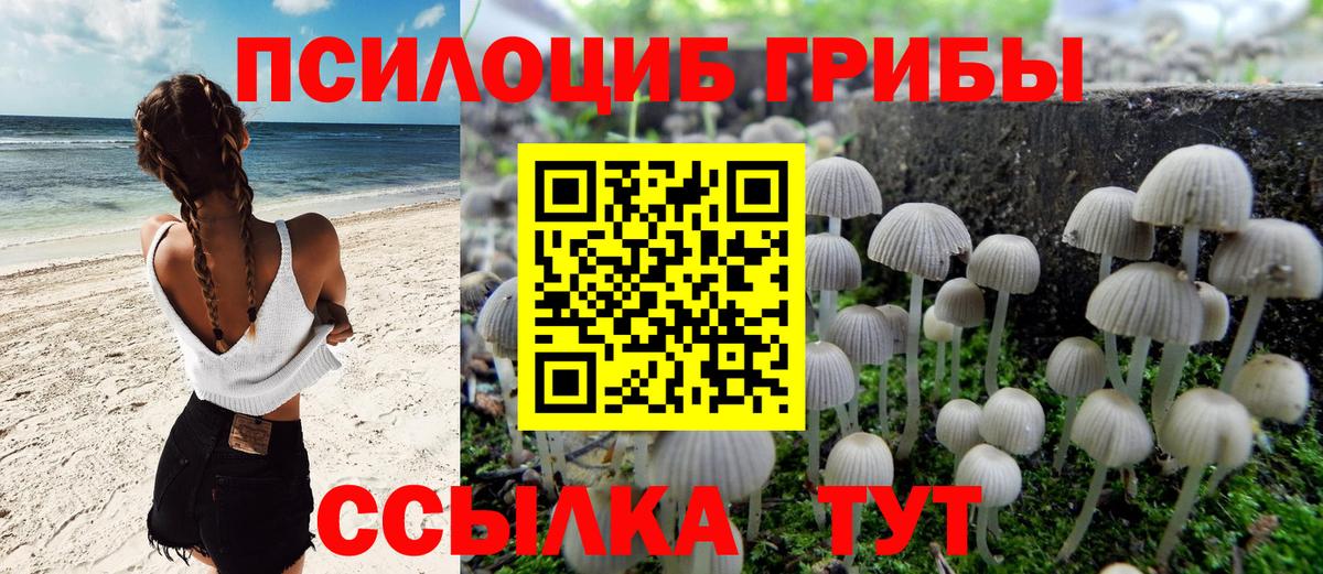 Псилоцибиновые грибы Cubensis  Вход с VPN  даркнет сайт  Кисловодск 