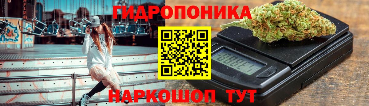 Конопля конопля  Вход с VPN  МАРИХУАНА ГИДРОПОН  Кисловодск 